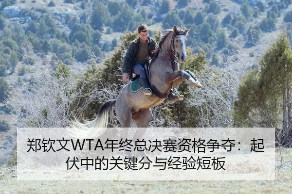 郑钦文WTA年终总决赛资格争夺：起伏中的关键分与经验短板